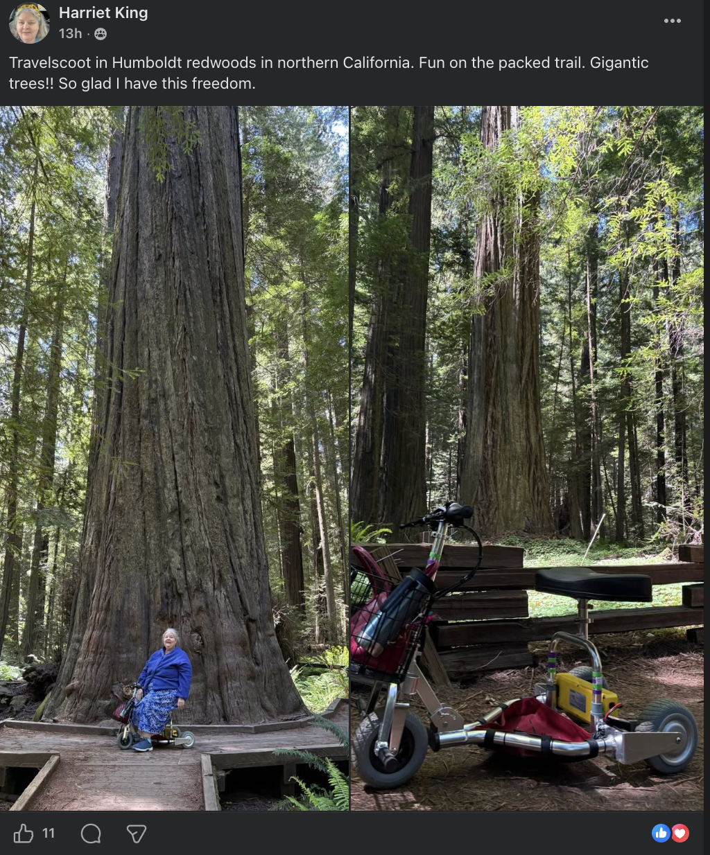 Woman on mobility scooter in the Redwood Forest